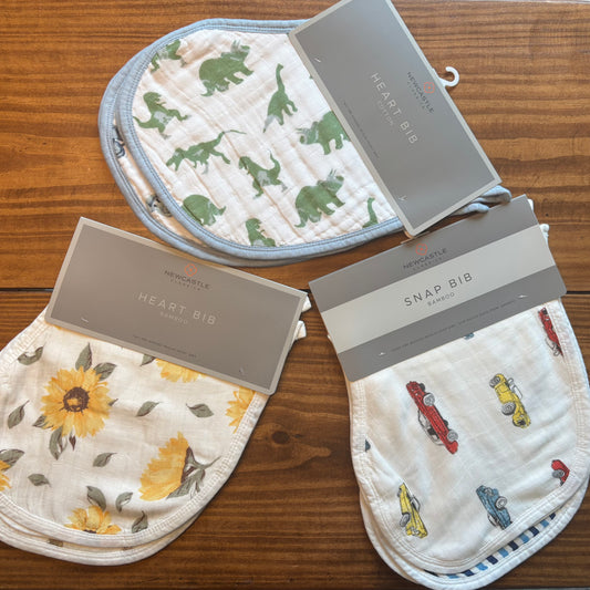 Heart Bibs 2-Pack