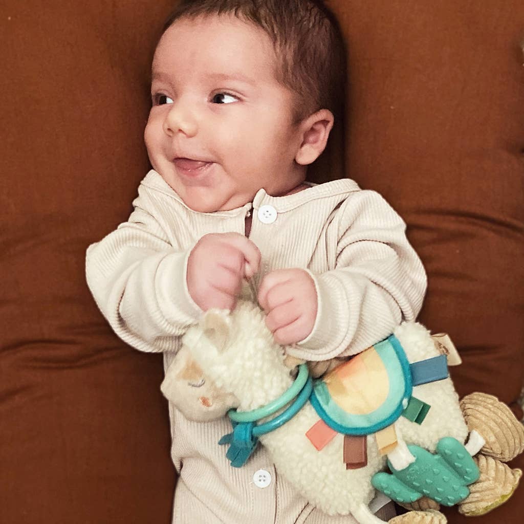 Llama Activity Plush with Teether Toy