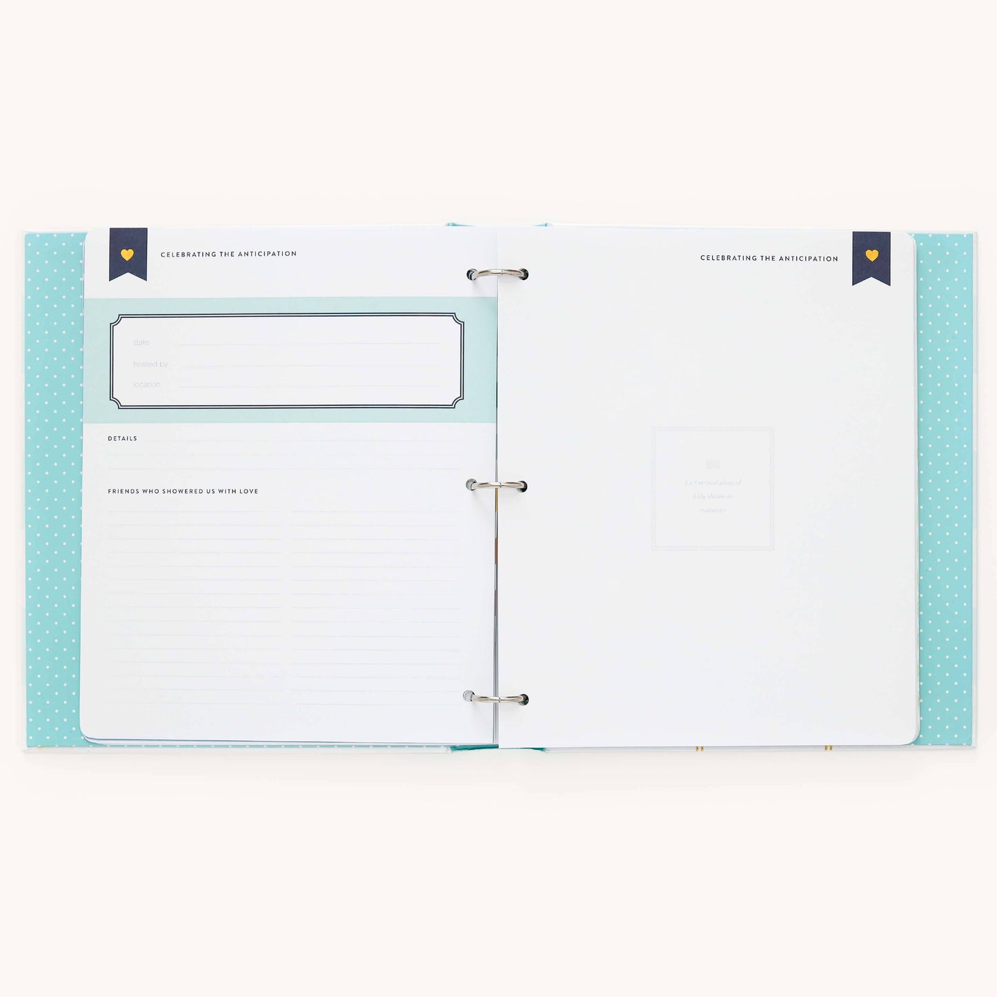 Premium Baby Book