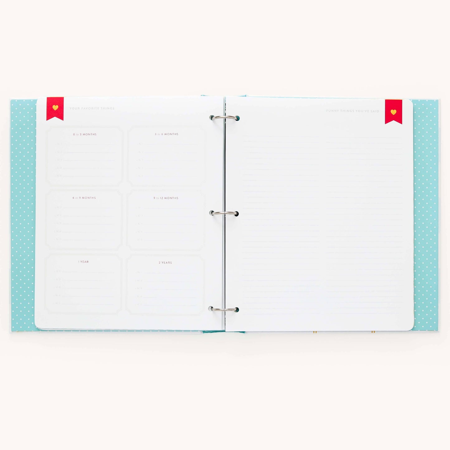 Premium Baby Book