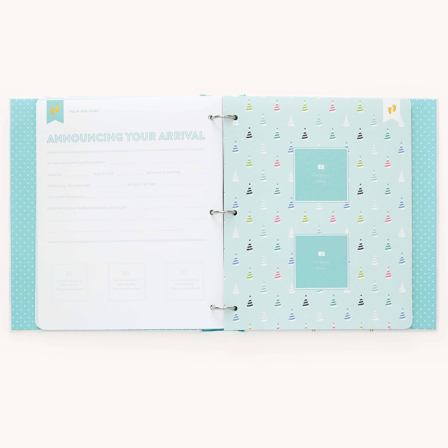 Premium Baby Book