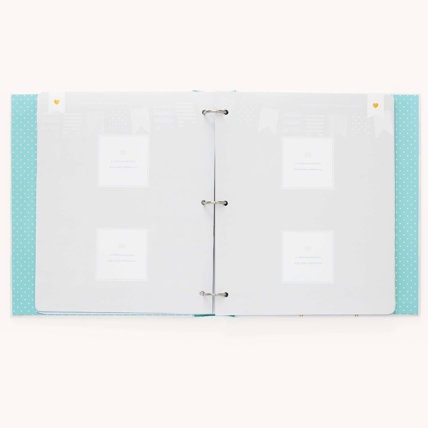 Premium Baby Book