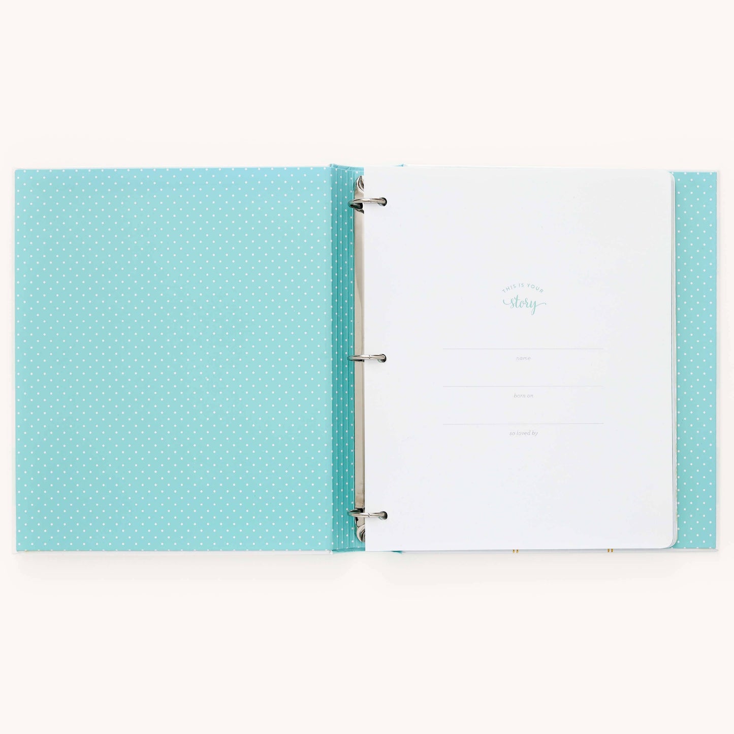Premium Baby Book