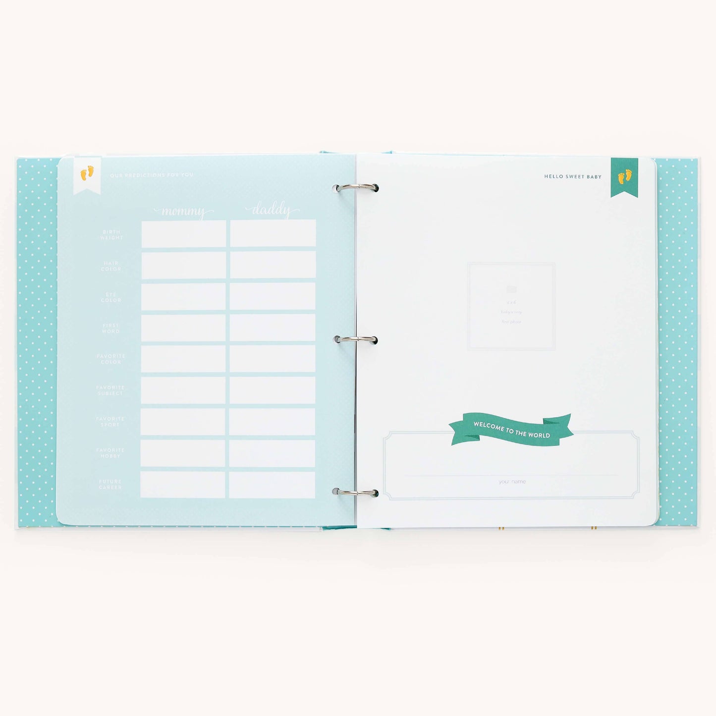 Premium Baby Book