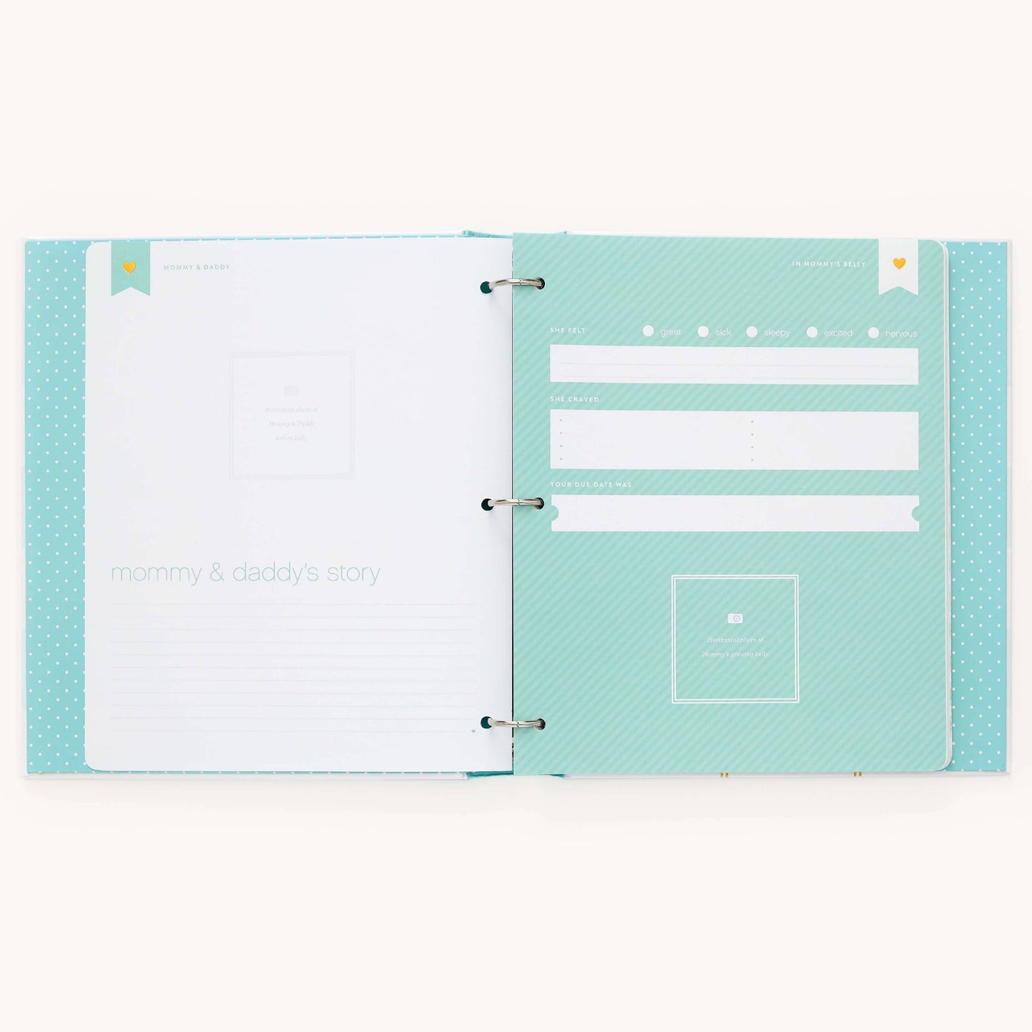 Premium Baby Book