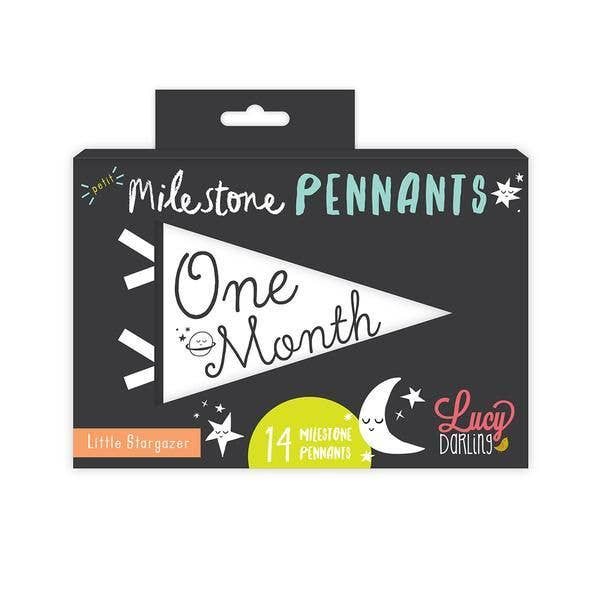 Baby Milestone Pennant Set: Little Stargazer