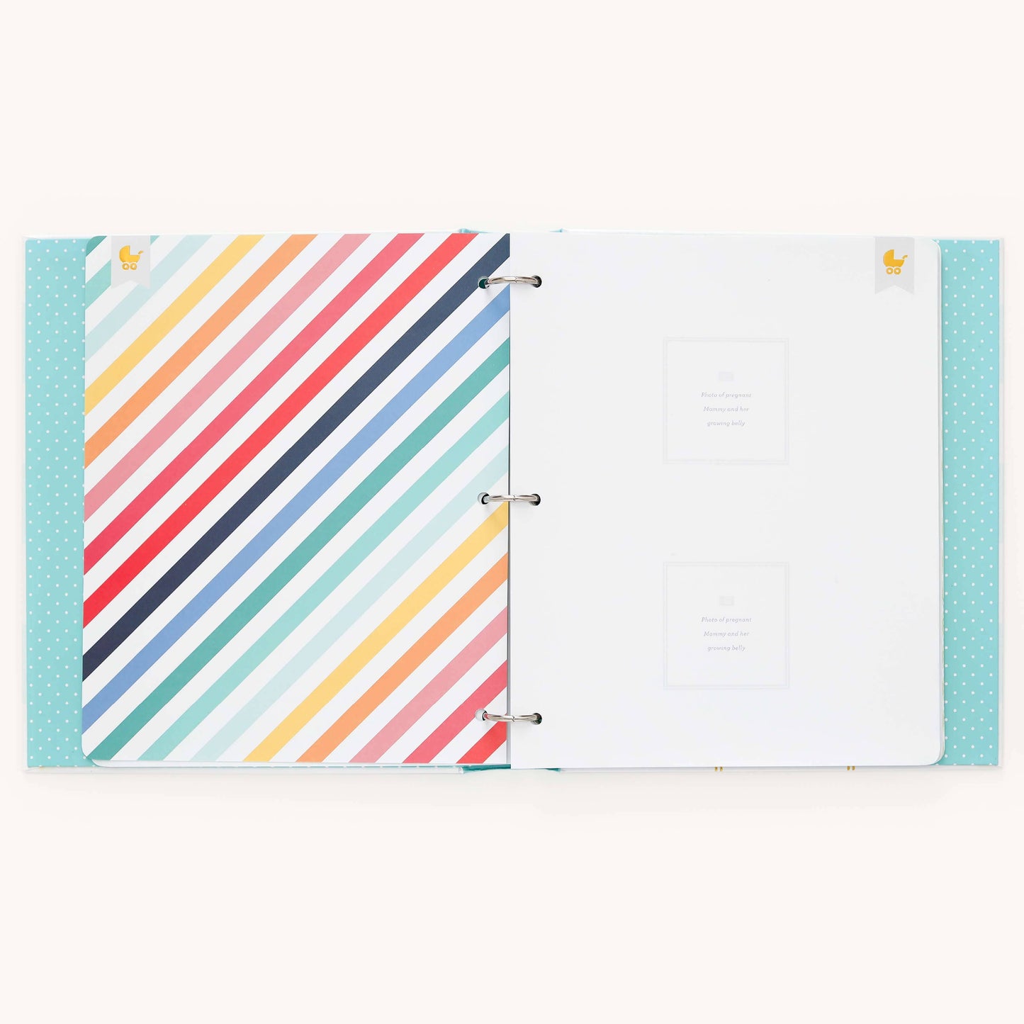 Premium Baby Book