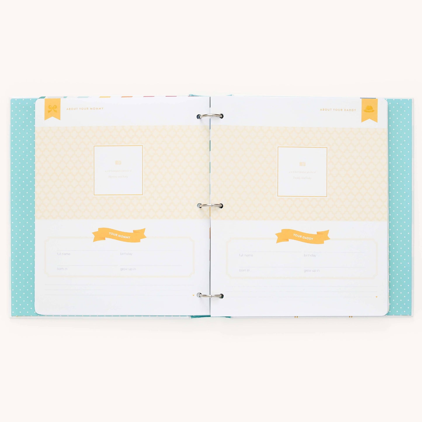 Premium Baby Book