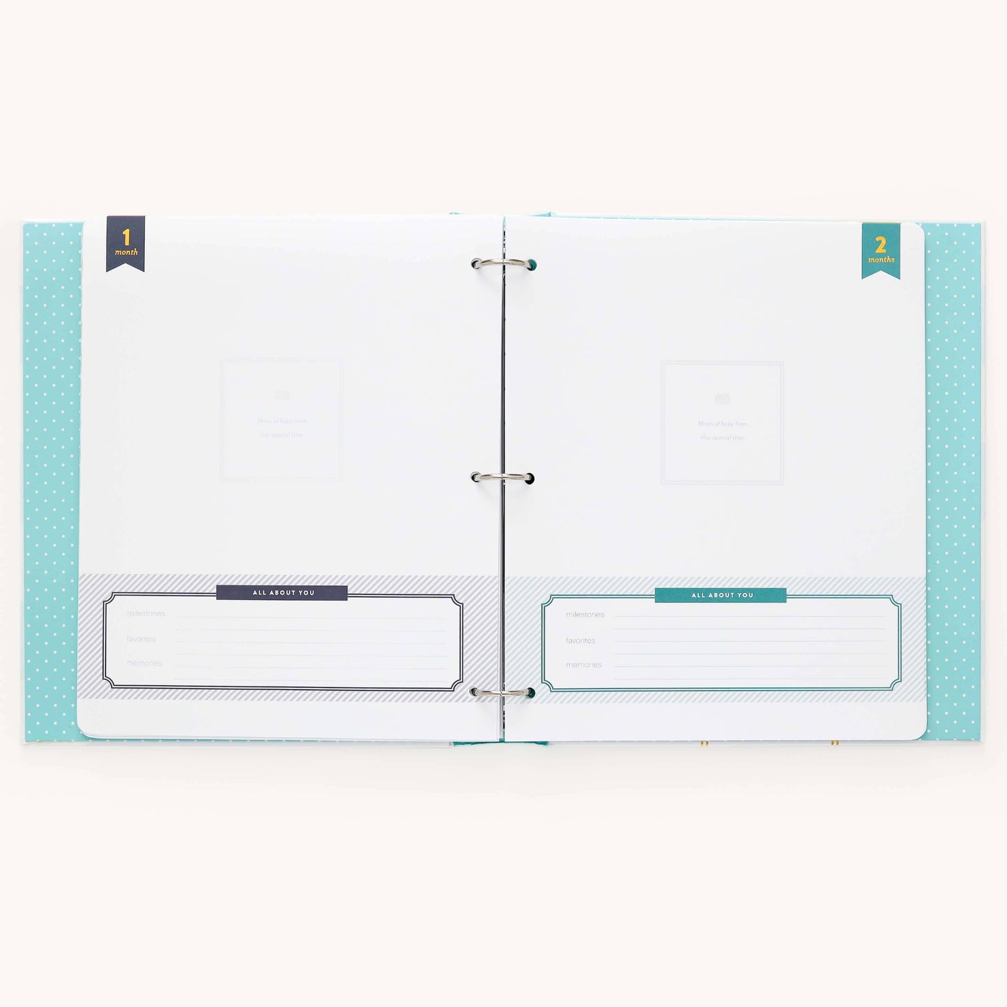 Premium Baby Book