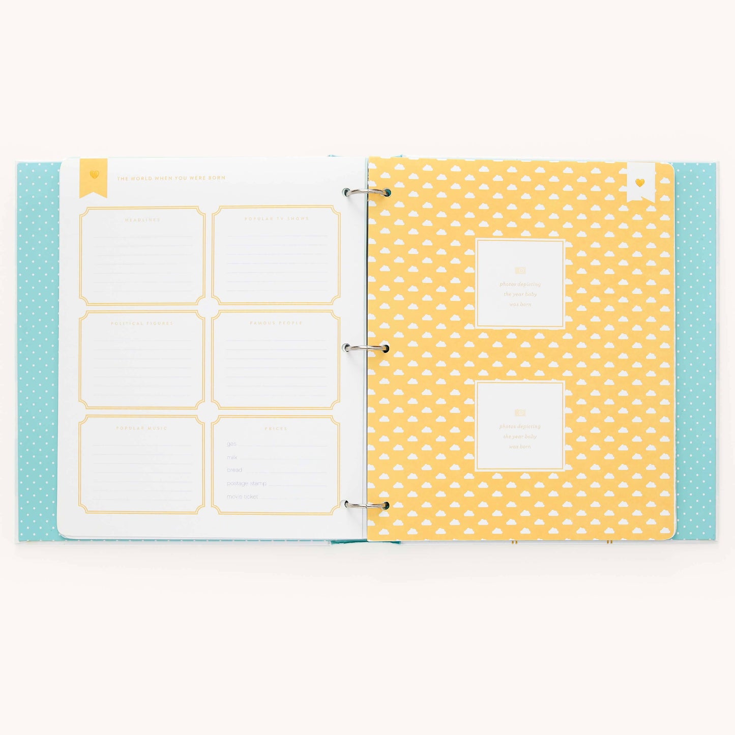 Premium Baby Book