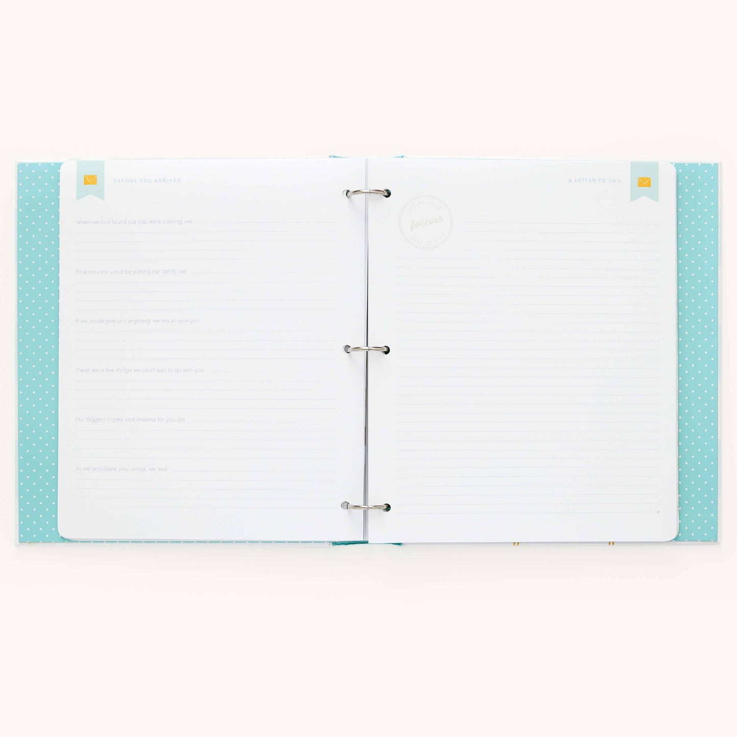 Premium Baby Book