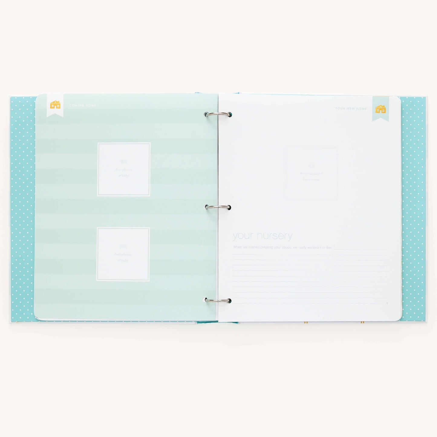 Premium Baby Book