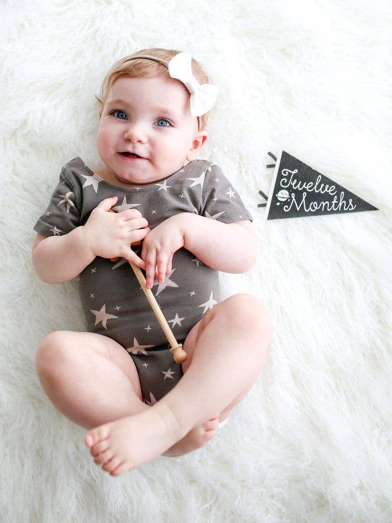 Baby Milestone Pennant Set: Little Stargazer