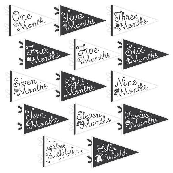 Baby Milestone Pennant Set: Little Stargazer