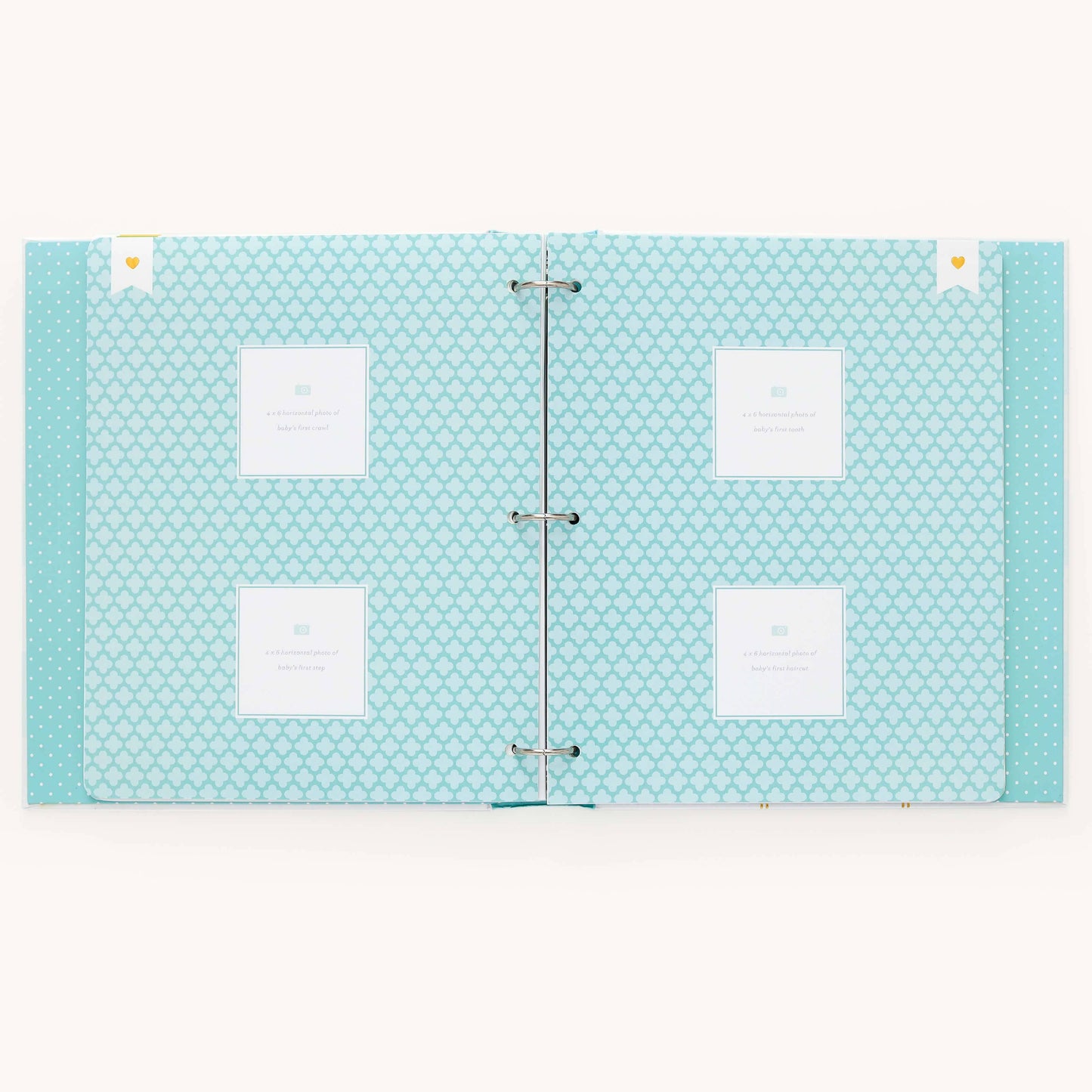 Premium Baby Book