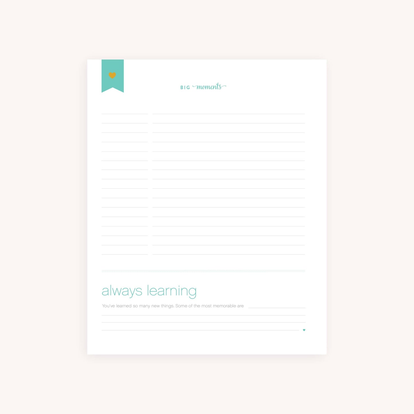 Custom Page Pack for Premium Baby Book - Foster Care