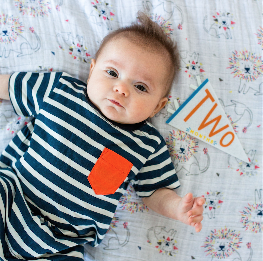 Baby Milestone Pennant Set: Little Kaleidoscope