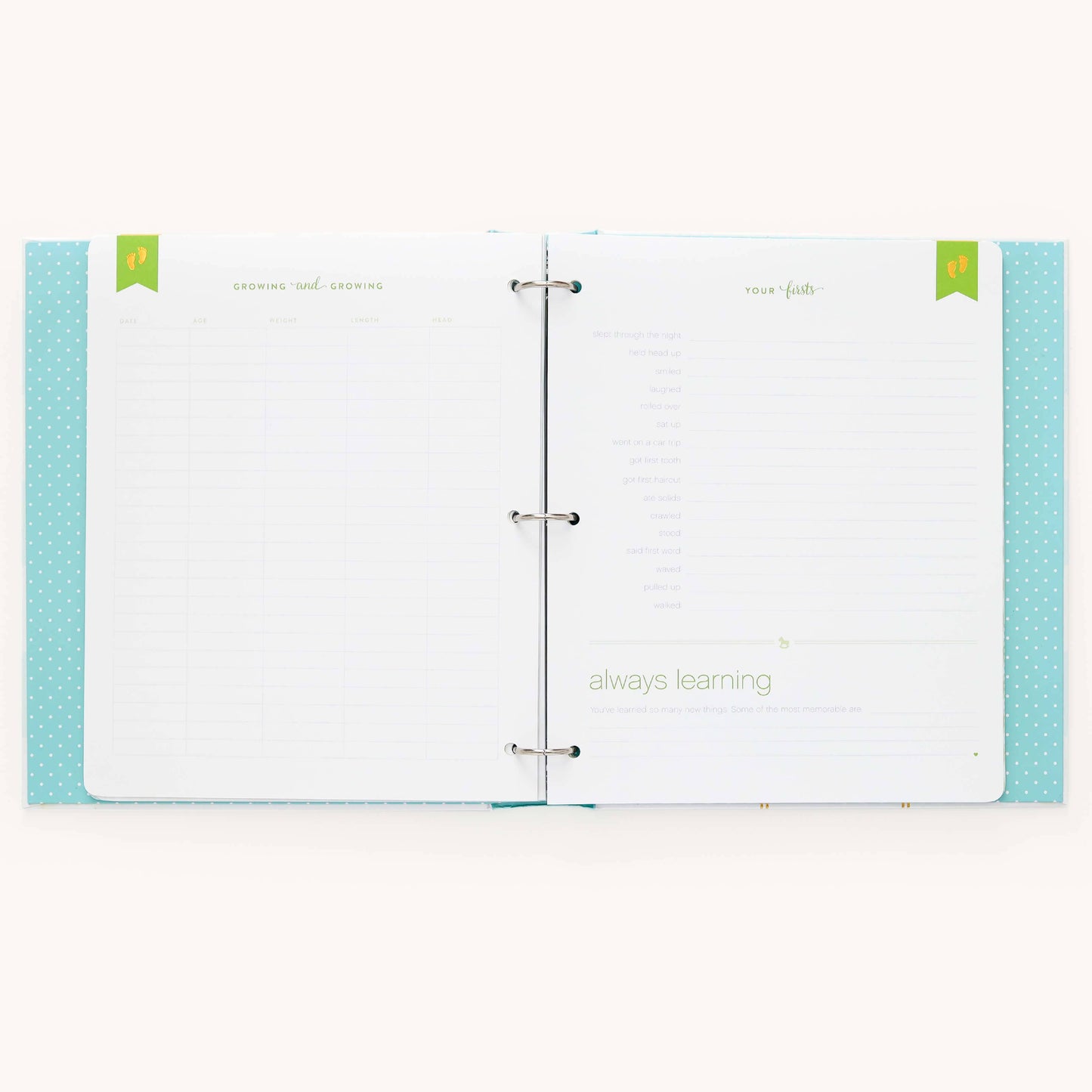 Premium Baby Book