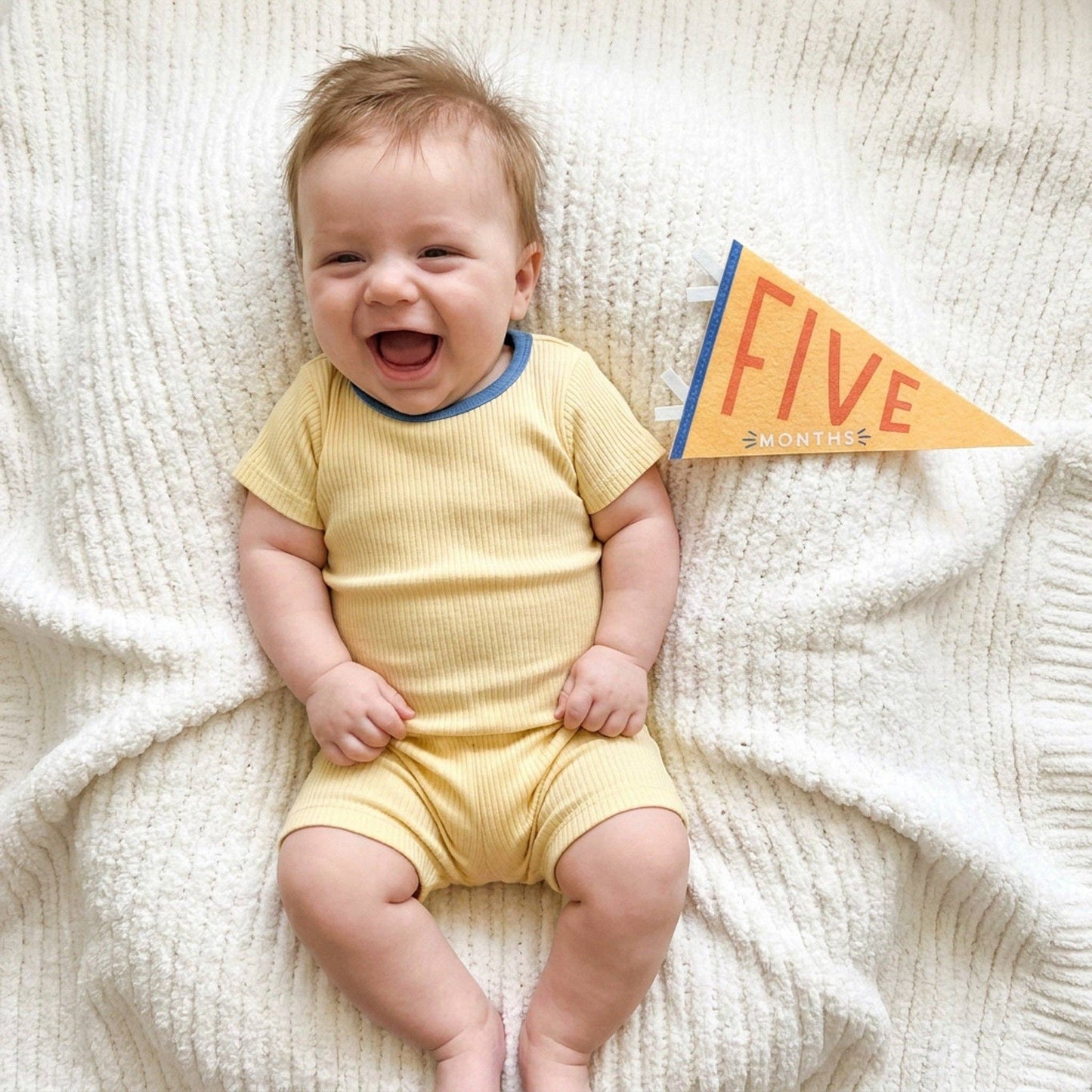 Baby Milestone Pennant Set: Little Kaleidoscope