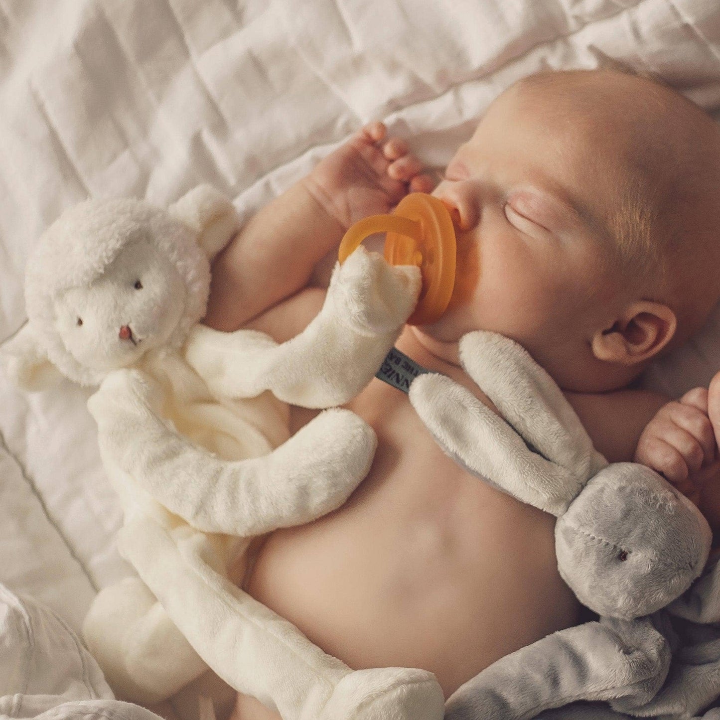 Silly Buddy: Kiddo Lamb