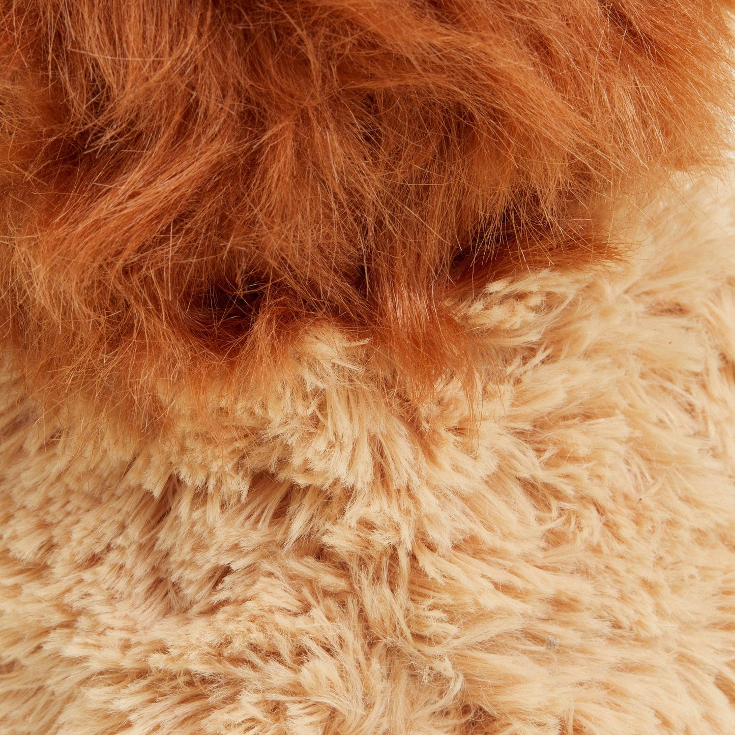 Lion Warmies