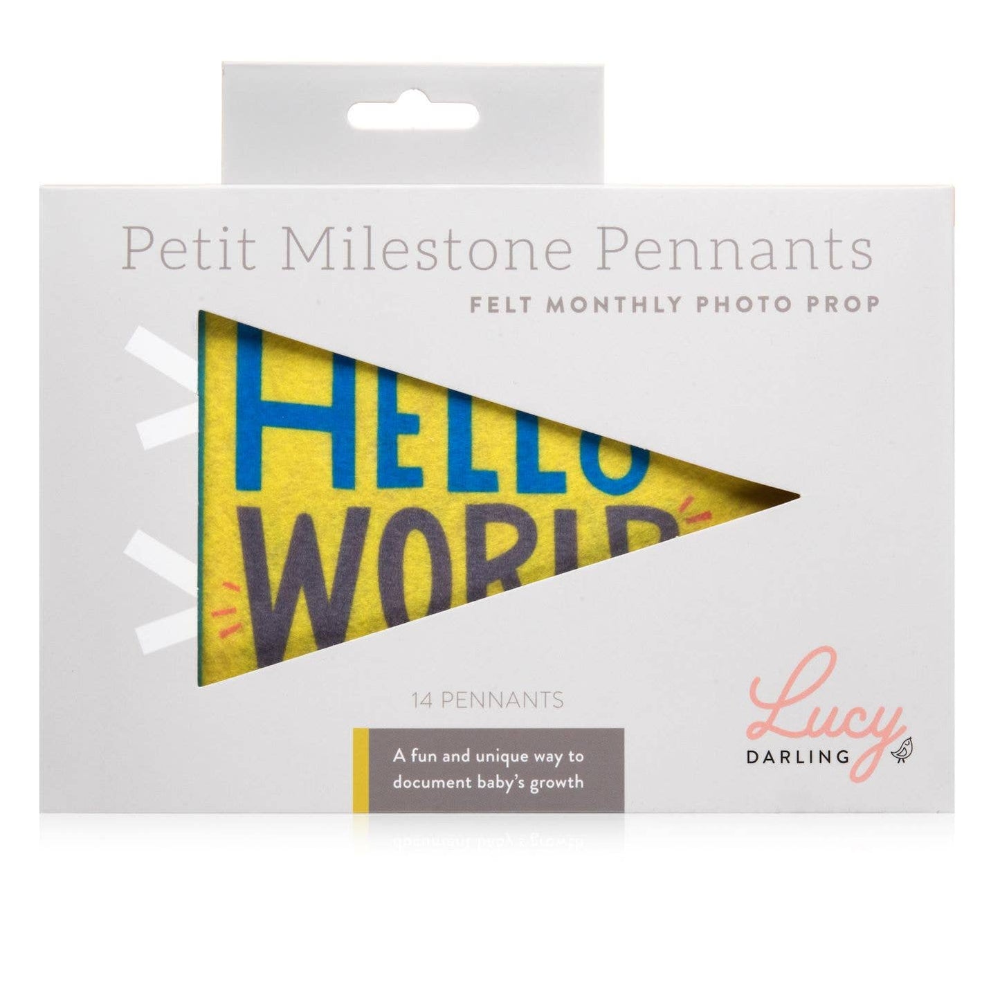 Baby Milestone Pennant Set: Little Kaleidoscope